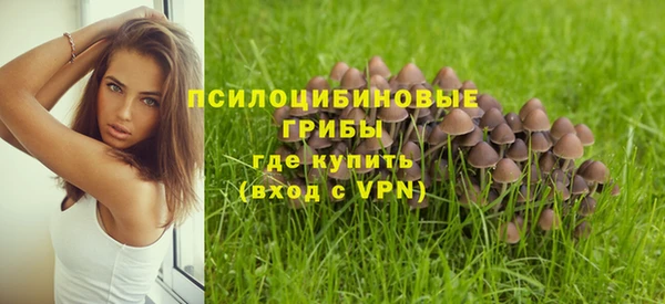 стафф Покровск