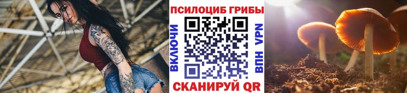 Купить закладки Троицк Галлюциногенные грибы прущие грибы